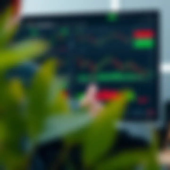 Customised TradingView dashboard showing multiple chart layouts tailored for South African market analysis